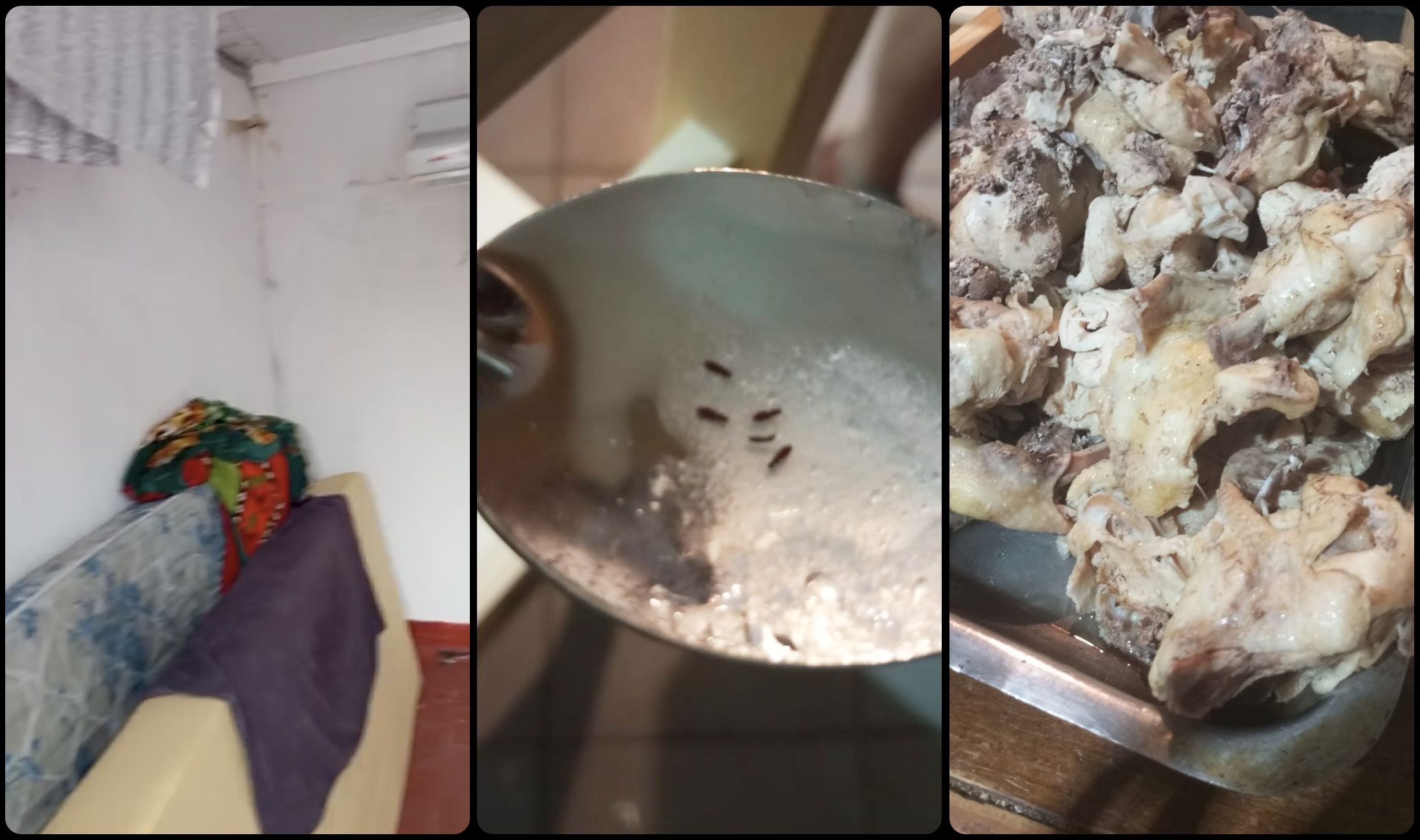 gg体育体育官网登录注册平台入口｜体育教学阿根廷足球青训体系的代价：天才工厂背后的残酷现实